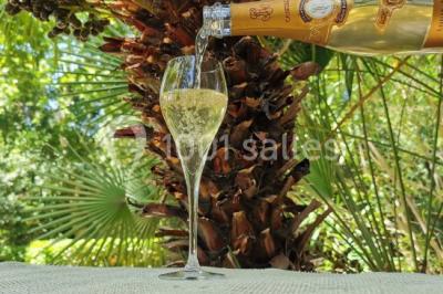 Miniature Location salle Uzès (Gard) - Château des Lumières #7 Location salle Uzès (Gard) - Château des Lumières #29