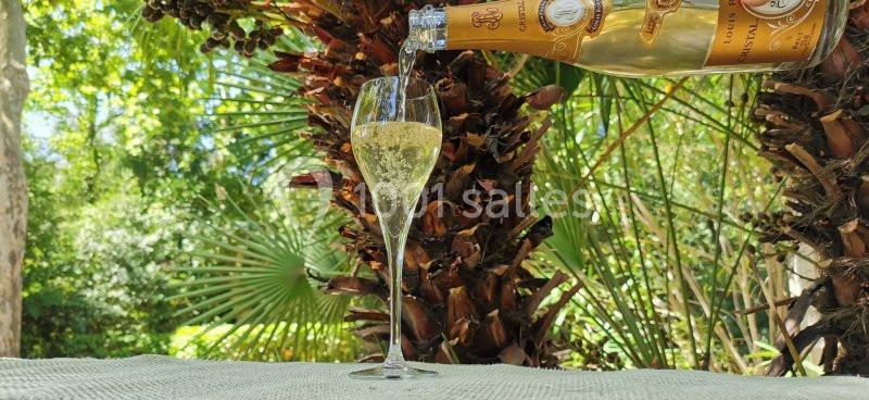 Location salle Uzès (Gard) - Château des Lumières #7