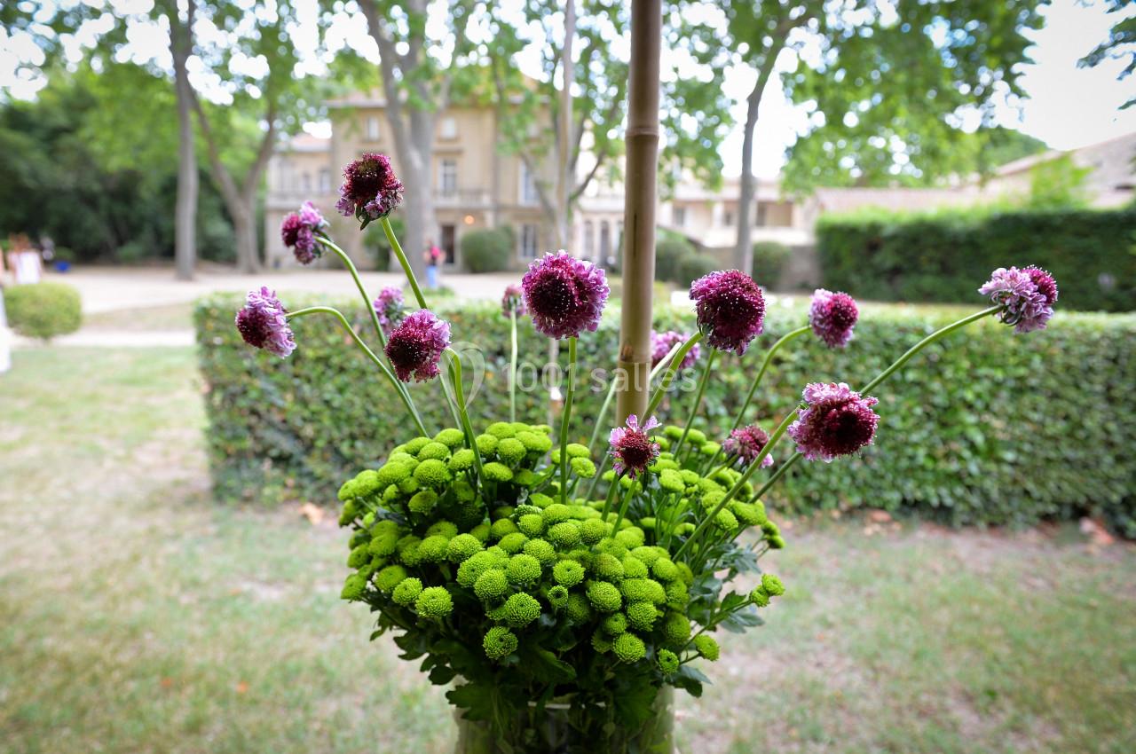 Location salle Uzès (Gard) - Château des Lumières #8