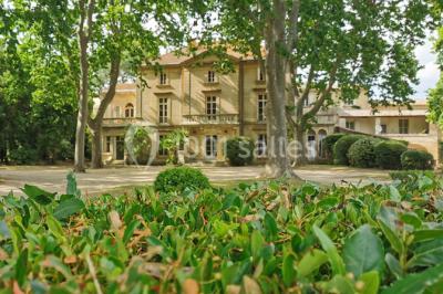 Château des Lumières - photo 3