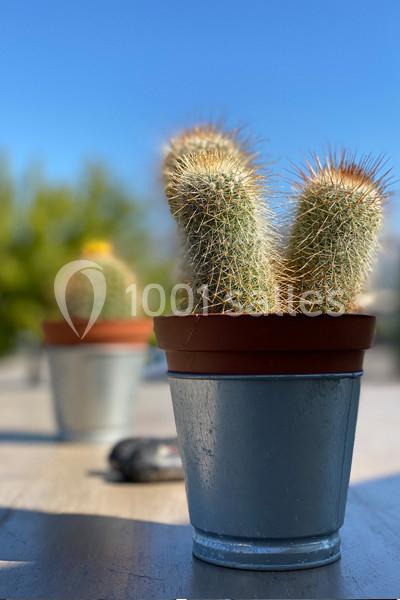 Location salle Fuveau (Bouches-du-Rhône) - Le Saint Charles #37