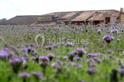 Miniature Location salle Saint-Philippe-d'Aiguille (Gironde) - Château d'Aiguilhe #13 Vue aérienne d'un domaine entouré de vignes, de bâtiments en pierre et d'un cours d'eau bordé de verdure.