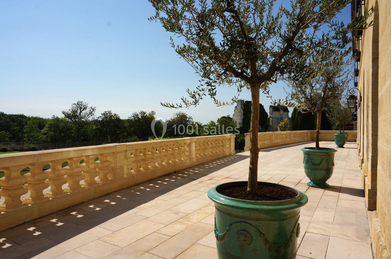 Terrasse ensoleillée avec balustrade en pierre, pots verts contenant des oliviers, et vue sur un paysage arboré.