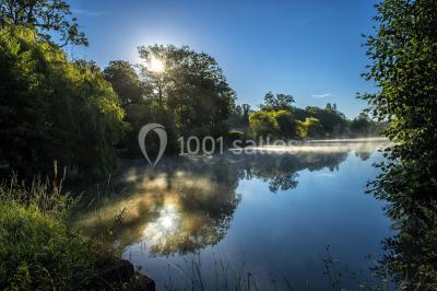 Miniature Location salle Saint-Philippe-d'Aiguille (Gironde) - Château d'Aiguilhe #18 Vue d'un lac entouré d'arbres au lever du soleil, avec des reflets sur l'eau et une légère brume.