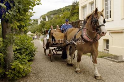 Miniature Location salle Andelys (Eure) - Les 3 Falaises #18 Location salle Andelys (Eure) - Les 3 Falaises #24
