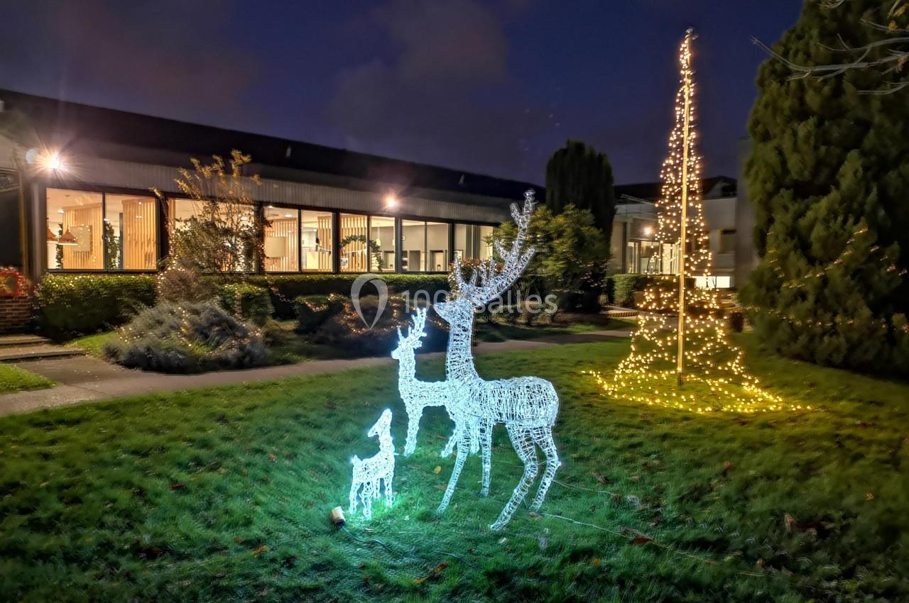 Décorations lumineuses représentant des rennes et un arbre illuminé dans un jardin en soirée.