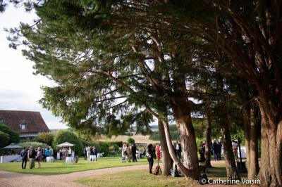 Miniature Location salle Harquency (Eure) - La Grange de Bourgoult #25 Platines vinyles et disques exposés sur une table en extérieur, avec un jardin verdoyant et un pigeonnier à colombages en…