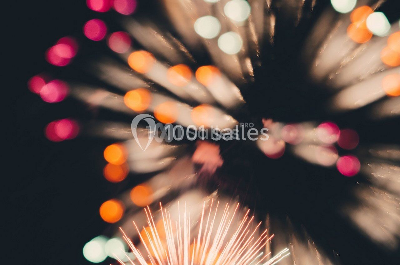Fest'yshow Js Animations - galerie - photo 1