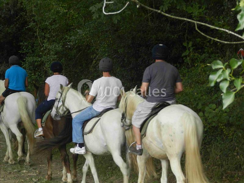 Domaine Escary - galerie - photo 7