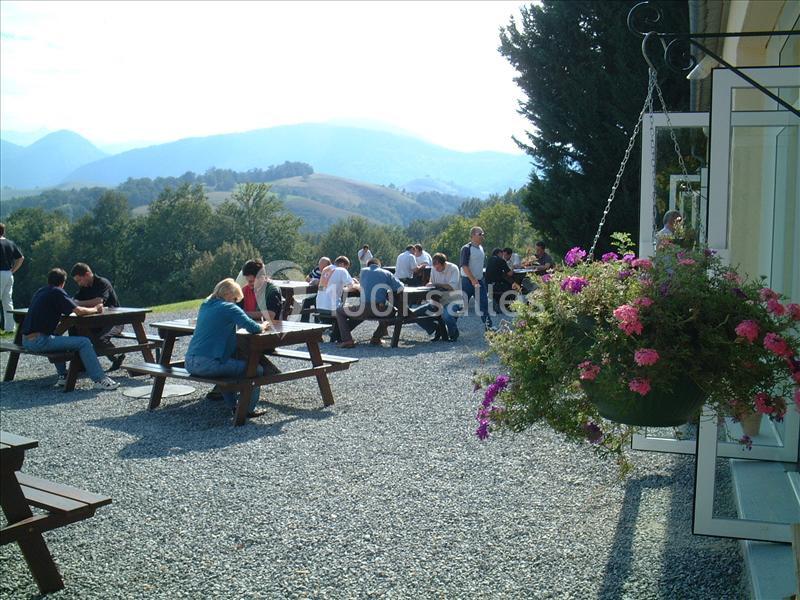 Domaine Escary - galerie - photo 4