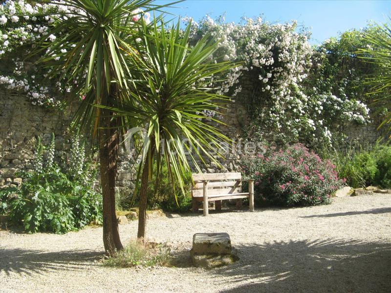 Location salle Douarnenez (Finistère) - La Ferme de Trézulien #22 Un jardin avec des palmiers, un banc en bois, un mur de pierre couvert de fleurs et un sol en gravier.