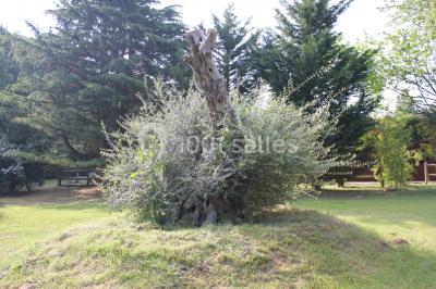 Miniature Location salle Breux-Jouy (Essonne) - Domaine De La Patulière - Espace La Patulière #16 Location salle Breux-Jouy (Essonne) - Domaine De La Patulière - Espace La Patulière #24