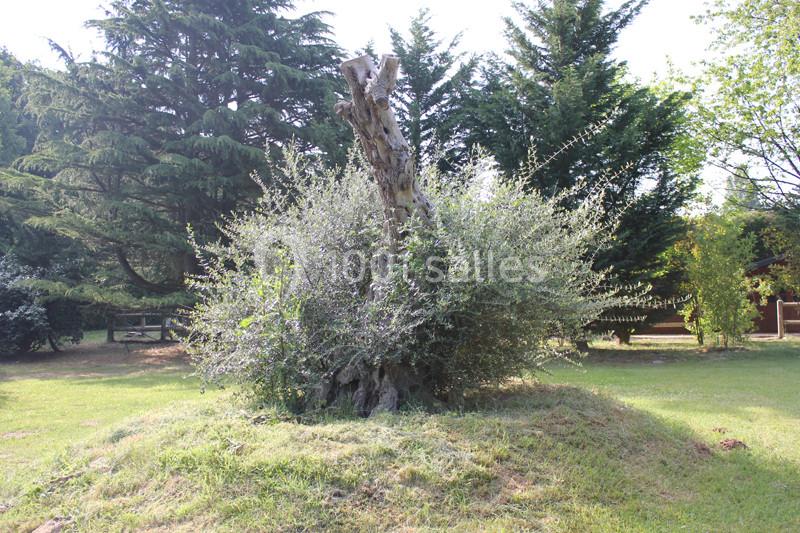 Location salle Breux-Jouy (Essonne) - Domaine De La Patulière - Espace La Patulière #16