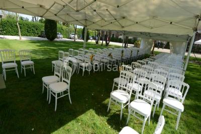 Feu d'artifice illuminant le ciel nocturne au-dessus d'arbres sombres dans un parc.