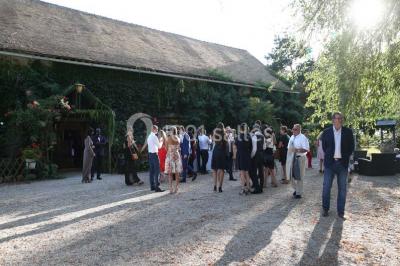 Feu d'artifice illuminant le ciel nocturne au-dessus d'arbres sombres dans un parc.