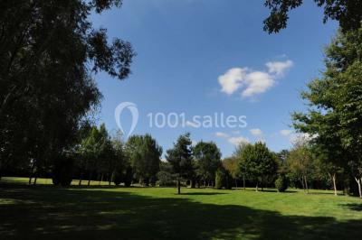 Feu d'artifice illuminant le ciel nocturne au-dessus d'arbres sombres dans un parc.