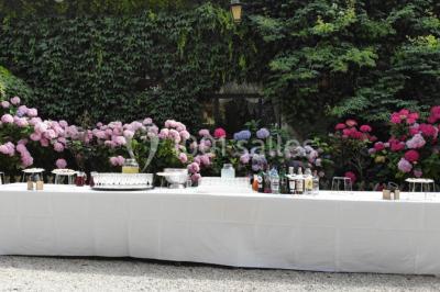 Feu d'artifice illuminant le ciel nocturne au-dessus d'arbres sombres dans un parc.