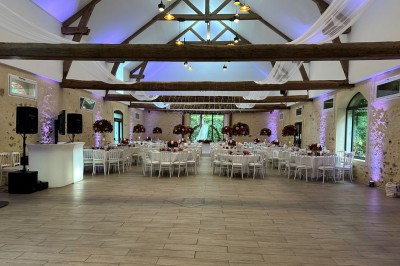Feu d'artifice illuminant le ciel nocturne au-dessus d'arbres sombres dans un parc.