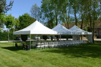 Feu d'artifice illuminant le ciel nocturne au-dessus d'arbres sombres dans un parc.