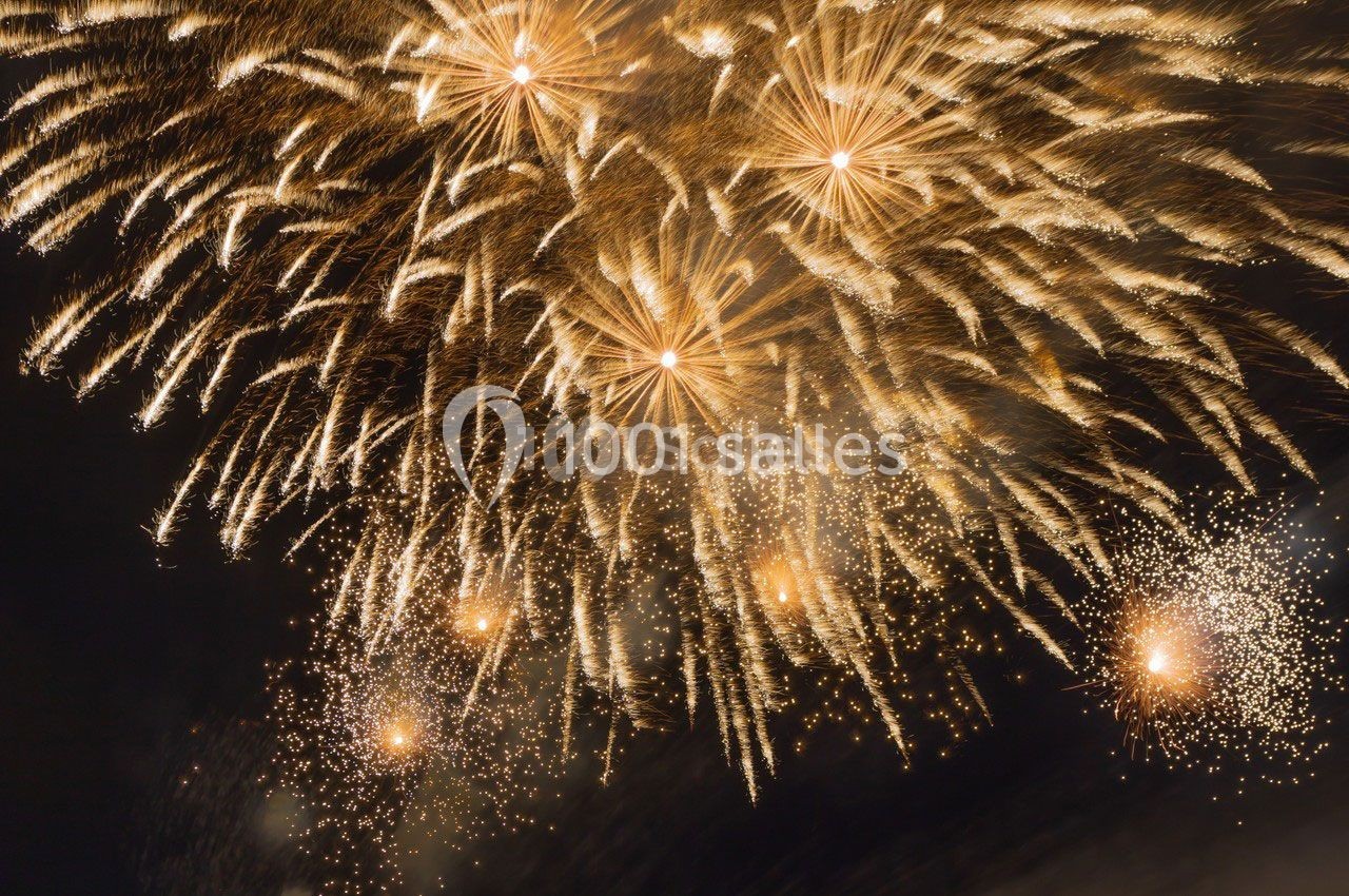France Artifice Sarl - galerie - photo 1