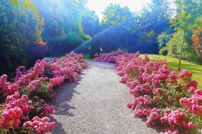 Miniature Location salle Longnes (Yvelines) - Domaine des Clos Vallées #14 Couronne de fleurs blanches et roses suspendue à un arbre sous la lumière du soleil dans un jardin verdoyant.