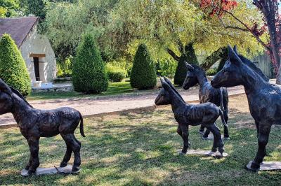 Miniature Location salle Longnes (Yvelines) - Domaine des Clos Vallées #35 Couronne de fleurs blanches et roses suspendue à un arbre sous la lumière du soleil dans un jardin verdoyant.