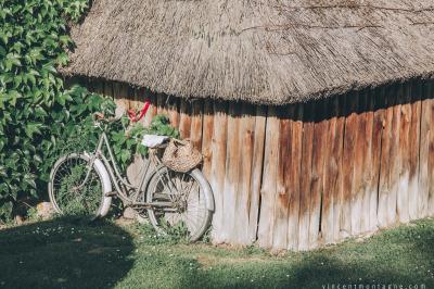 Miniature Location salle Longnes (Yvelines) - Domaine des Clos Vallées #42 Couronne de fleurs blanches et roses suspendue à un arbre sous la lumière du soleil dans un jardin verdoyant.