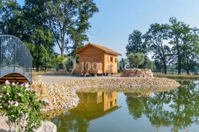 Stand décoratif avec des bonbons dans un parc, entouré d'arbres, de personnes assises et d'enfants jouant.