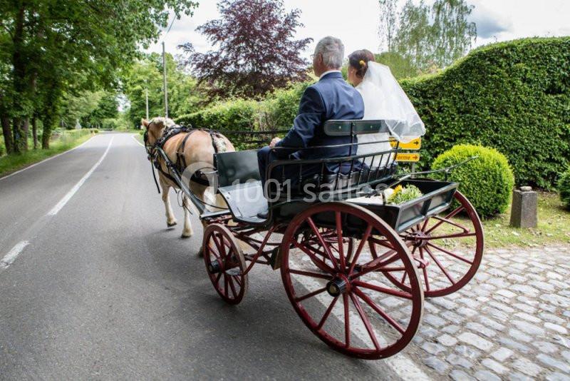 Location salle Anhée (Namur) - Ferme de l'Abbaye de Moulins #12 Un couple en tenue de mariage est assis dans une calèche tirée par un cheval sur une route bordée de verdure.