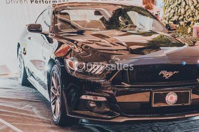 Les Calèches D'artagnan Les Calèches D'artagnan