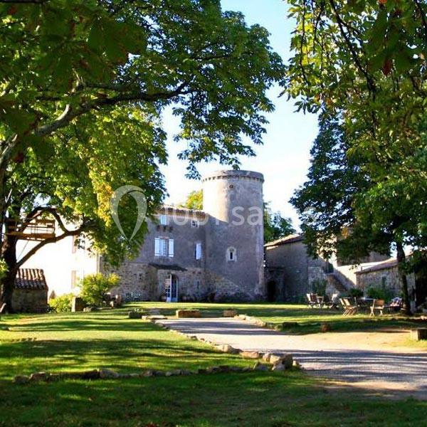 Château en pierre entouré d'arbres, avec une tour ronde et une cour ensoleillée bordée de pelouse.
