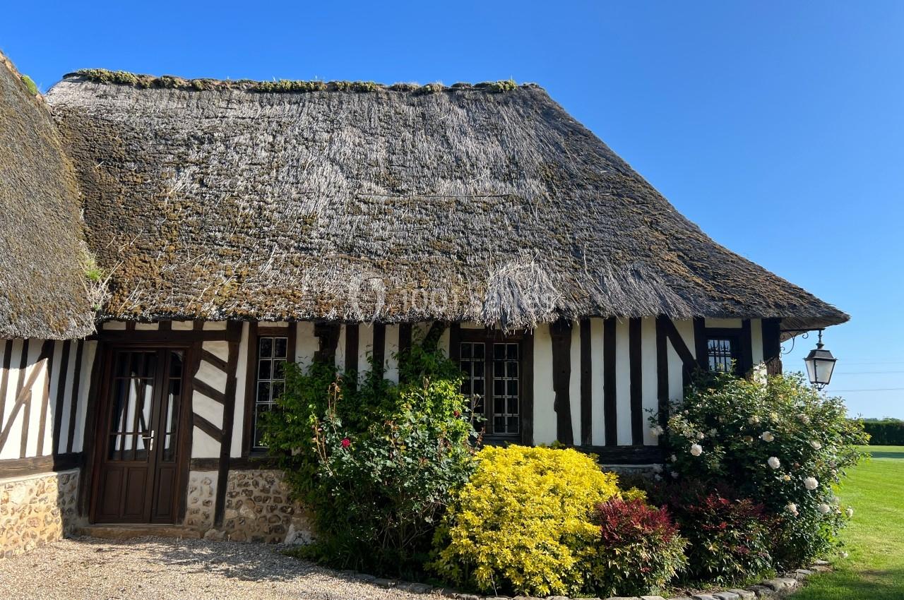 Maison à colombages avec toit de chaume, entourée de buissons fleuris et située sous un ciel bleu.