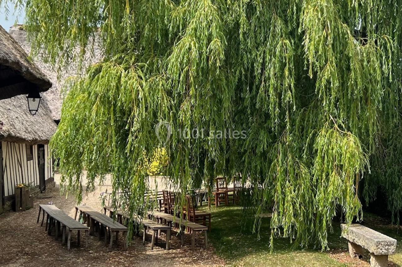 Un grand saule pleureur ombrage des tables en bois disposées dans une cour pavée près de bâtiments à toit de chaume.