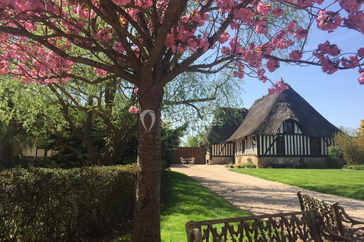 Maison à colombages avec toit de chaume entourée d'un jardin verdoyant, sous un arbre en fleurs au printemps.