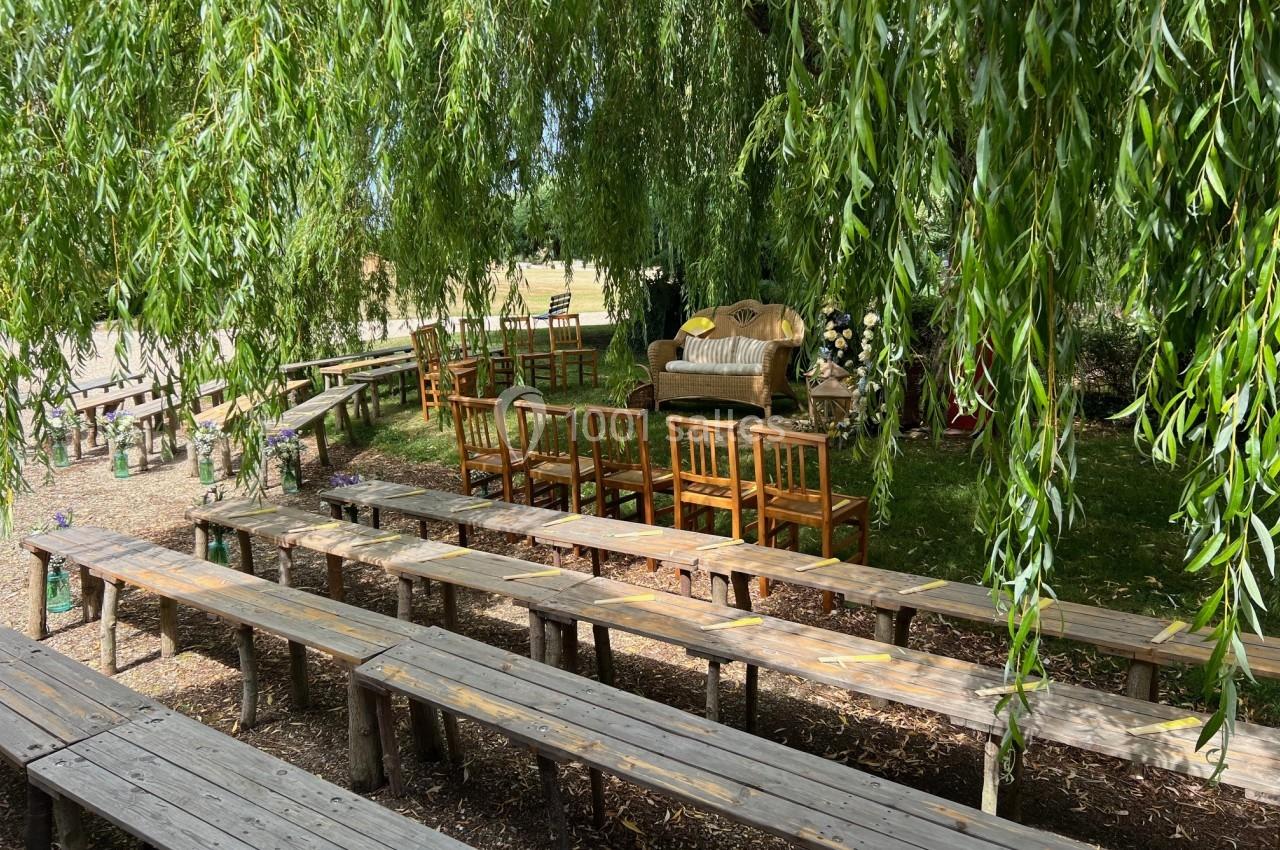 Bancs en bois disposés en extérieur sous un grand saule pleureur, avec quelques chaises et une table décorée.