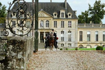 Château de Versainville - photo 4