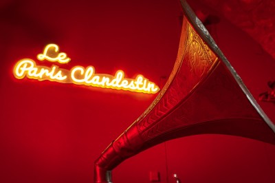 Comptoir lumineux dans une pièce voûtée en pierre, décoré de plantes, lampes et guirlandes lumineuses.