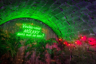 Comptoir lumineux dans une pièce voûtée en pierre, décoré de plantes, lampes et guirlandes lumineuses.