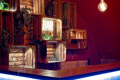 Comptoir lumineux dans une pièce voûtée en pierre, décoré de plantes, lampes et guirlandes lumineuses.