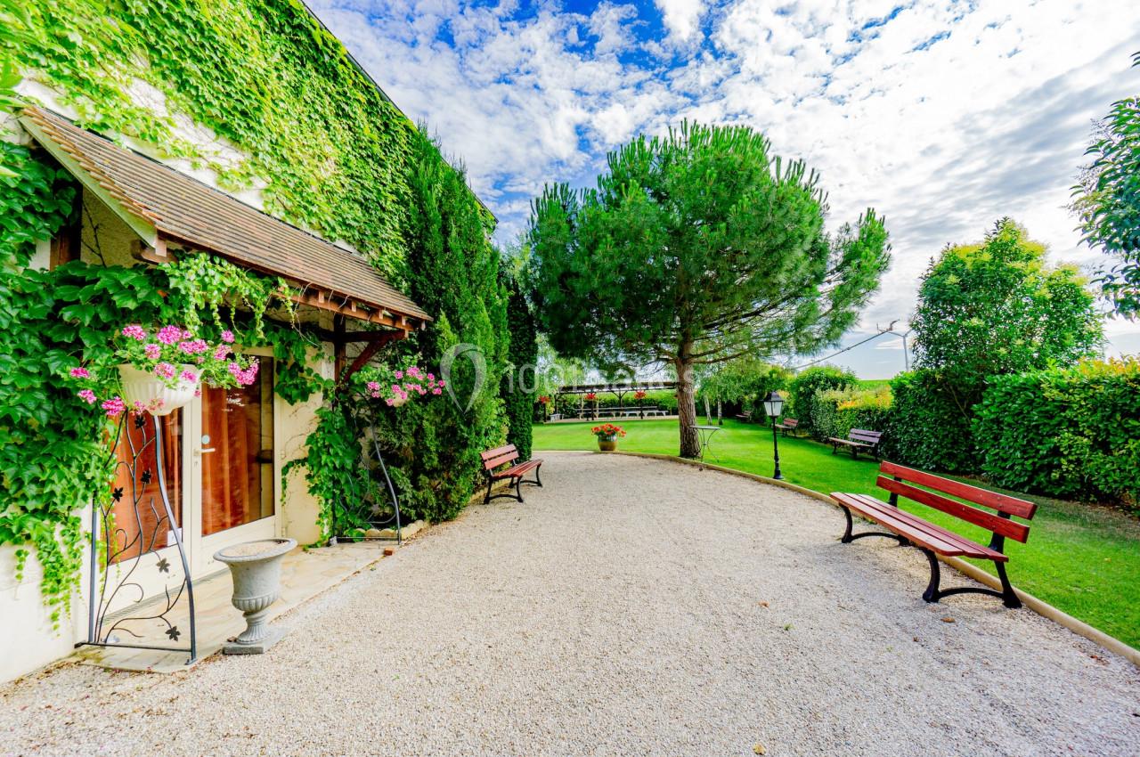Allée gravillonnée bordée de bancs, arbres et façade couverte de lierre dans un jardin verdoyant sous un ciel partiellement…