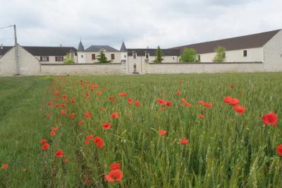 Miniature Location salle Gironville (Seine-et-Marne) - Domaine Saint Pierre #44 Champ de coquelicots rouges au premier plan avec un bâtiment en pierre et des toits en arrière-plan sous un ciel nuageux.