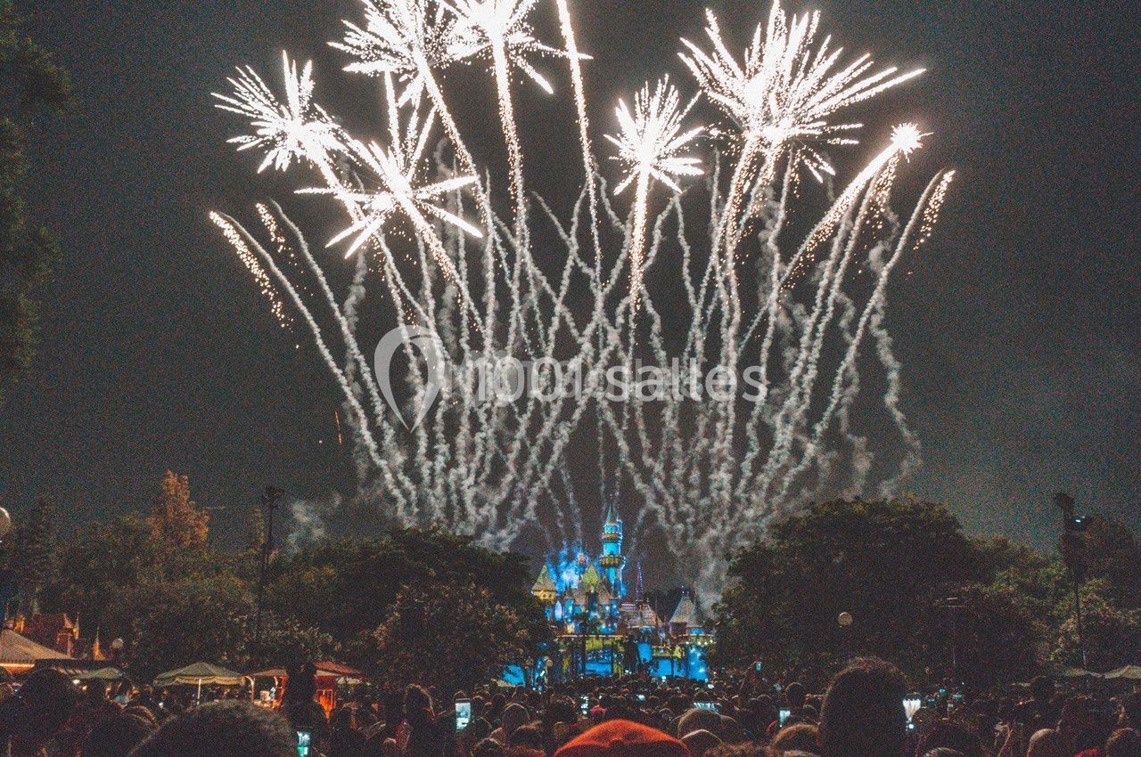 Firelight - Spectacle De Feu Et De Led - galerie - photo 1