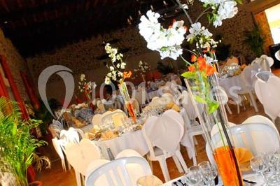 Piscine intérieure avec eau bleue, entourée de plantes en pot et éclairée par des appliques murales.