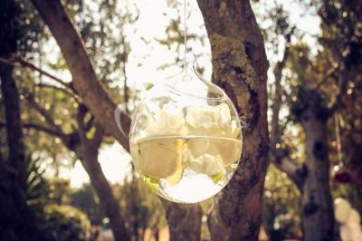 Miniature Location salle Beaucaire (Gard) - Le Parc Réception #17 Location salle Beaucaire (Gard) - Le Parc Réception #19