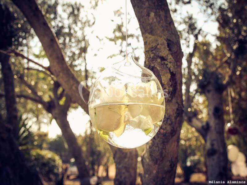 Location salle Beaucaire (Gard) - Le Parc Réception #17