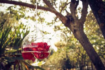 Miniature Location salle Beaucaire (Gard) - Le Parc Réception #15 Location salle Beaucaire (Gard) - Le Parc Réception #19