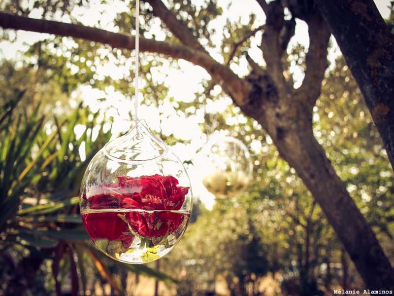 Location salle Beaucaire (Gard) - Le Parc Réception #15