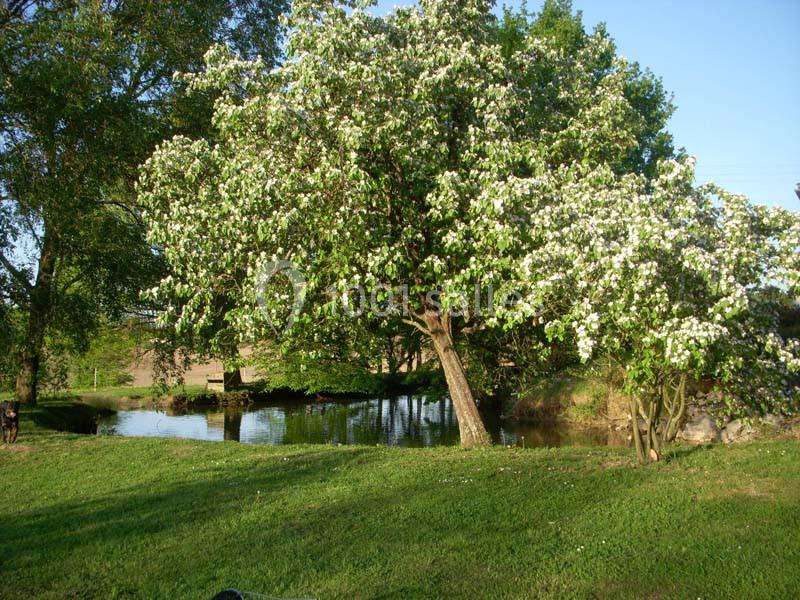 Domaine De La Rochère - galerie - photo 22