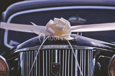 Limo Dream 53 Limo Dream 53