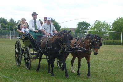 Mariage En Calèche - Nonette-cuirs